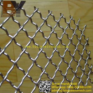 Stainless Steel Cripmed Wire Mesh