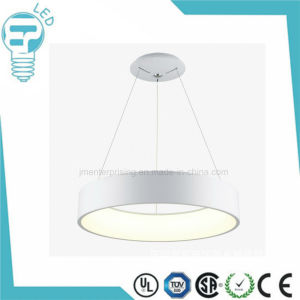 New LED Pendant Lamp, Modern Ceiling Light for The Hall